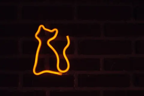 Neon Sign 4K Wallpaper · neon · 3840×2560