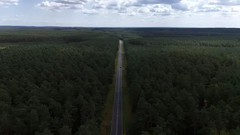 Aerial Forest 4K Wallpaper · aerial · 3840×2160