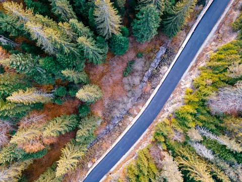 Aerial Forest 4K Wallpaper · aerial · 3840×2880