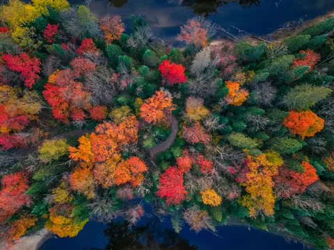 Aerial Forest 4K Wallpaper · aerial · 3840×2880