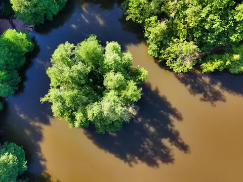 Aerial Forest 4K Wallpaper · aerial · 3840×2879