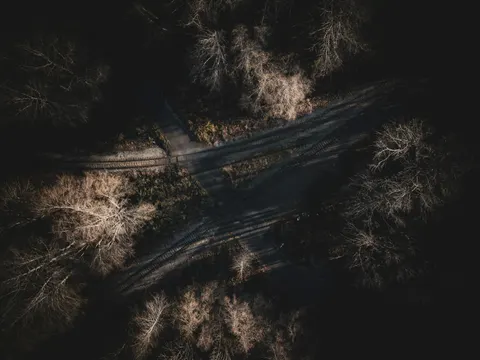 Aerial Forest 4K Wallpaper · aerial · 3840×2880
