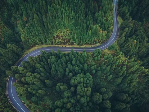 Aerial Forest 4K Wallpaper · aerial · 3840×2880