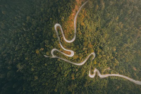 Aerial Forest 4K Wallpaper · aerial · 3840×2560