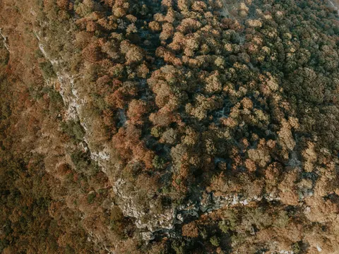Aerial Forest 4K Wallpaper · aerial · 3840×2880