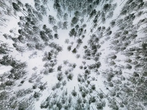 Aerial Forest 4K Wallpaper · aerial · 3840×2880