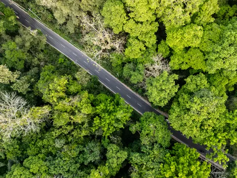 Aerial Forest 4K Wallpaper · aerial · 3840×2880