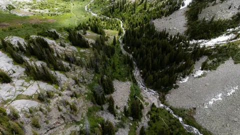 Aerial Forest 4K Wallpaper · aerial · 3840×2160