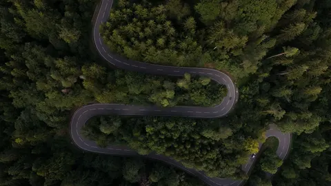 Aerial Forest 4K Wallpaper · aerial · 3840×2160