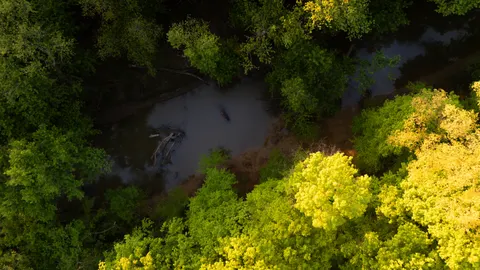 Aerial Forest 4K Wallpaper · aerial · 3840×2160