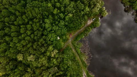 Aerial Forest 4K Wallpaper · aerial · 3840×2160