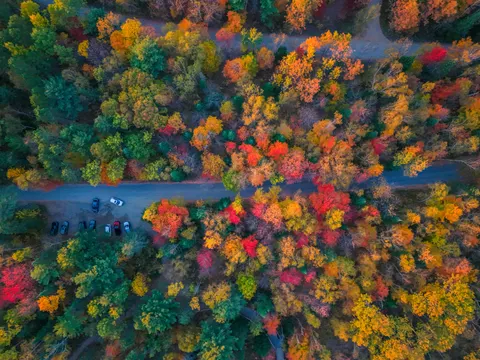 Aerial Forest 4K Wallpaper · aerial · 3840×2880