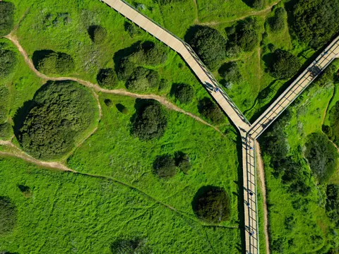 Aerial Forest 4K Wallpaper · aerial · 3840×2880