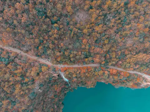 Aerial Forest 4K Wallpaper · aerial · 3840×2880