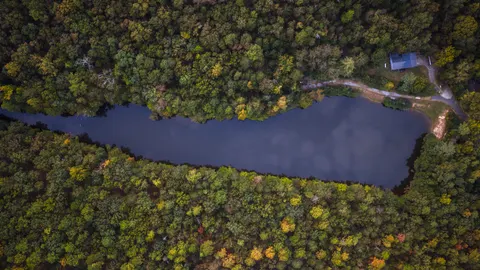 Aerial Forest 4K Wallpaper · aerial · 3840×2160