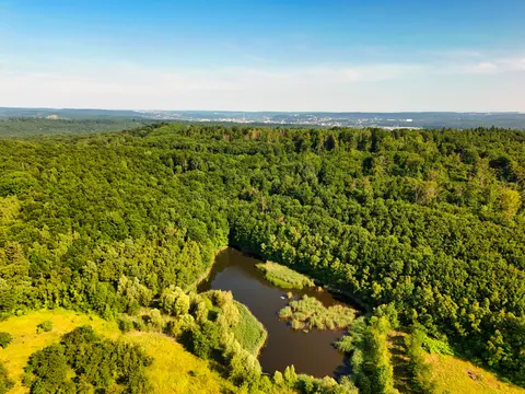 Aerial Forest 4K Wallpaper · aerial · 3840×2880