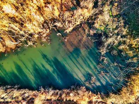 Aerial Forest 4K Wallpaper · aerial · 3840×2880