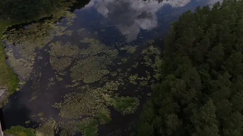 Aerial Forest 4K Wallpaper · aerial · 3840×2160