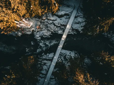 Aerial Forest 4K Wallpaper · aerial · 3840×2880