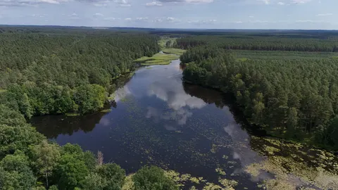 Aerial River 4K Wallpaper · aerial · 3840×2160