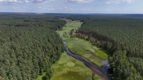 Aerial River 4K Wallpaper · aerial · 3840×2160