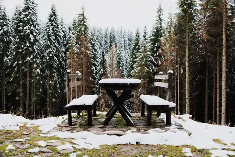 Snowy Forest 4K Wallpaper · winter · 3840×2560