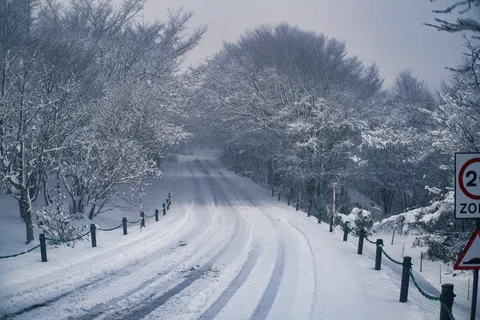 Snowy Forest 4K Wallpaper · winter · 3840×2560