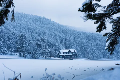 Snowy Forest 4K Wallpaper · winter · 3840×2560