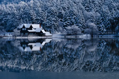 Tapeta Ośnieżony las 4K · winter · 3840×2560