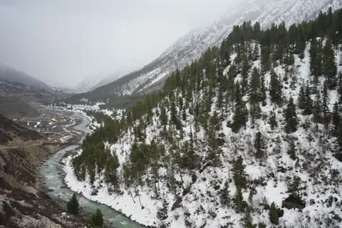 خلفية غابة مثلجة بدقة 4K · winter · 3840×2560