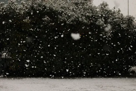 Snowfall 4K Wallpaper · winter · 3840×2560