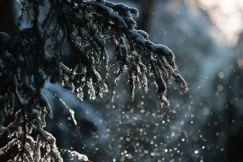 Snowfall 4K Wallpaper · winter · 3840×2560