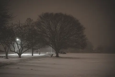 Snowfall 4K Wallpaper · winter · 3840×2560