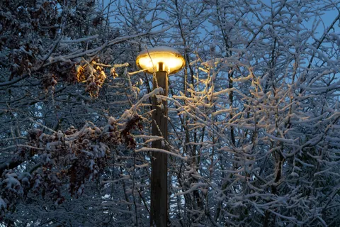 Snowfall 4K Wallpaper · winter · 3840×2560