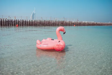 Flamingo Flock 4K Wallpaper · birds · 3840×2560