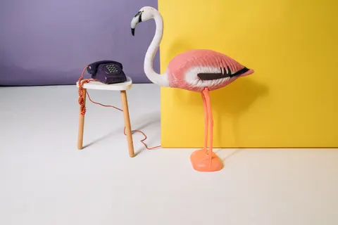 Flamingo Flock 4K Wallpaper · birds · 3840×2560
