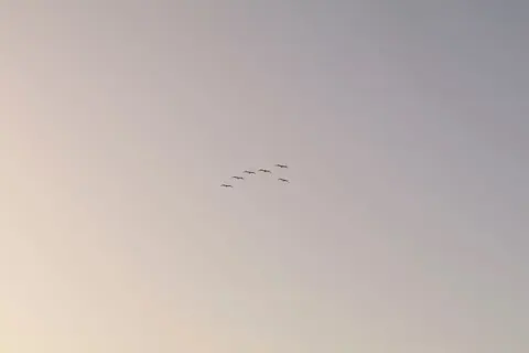 Flamingo Flock 4K Wallpaper · birds · 3840×2560