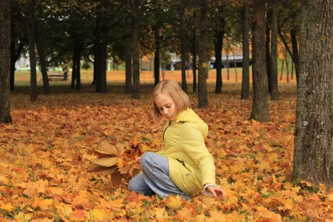 Hình nền Lối rừng mùa thu 4K · autumn · 3840×2560