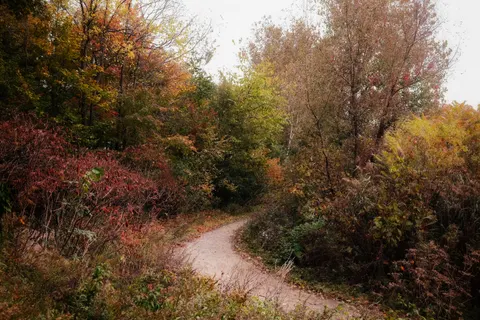Autumn Park 4K Wallpaper · autumn · 3840×2560