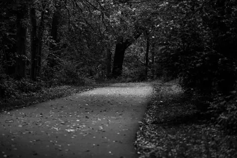 Autumn Park 4K Wallpaper · autumn · 3840×2563