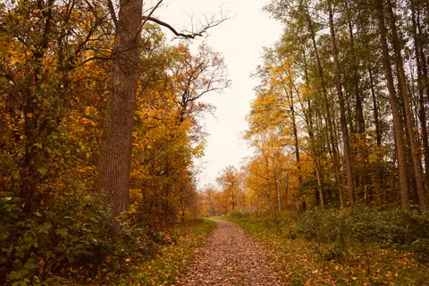 Autumn Park 4K Wallpaper · autumn · 3840×2560
