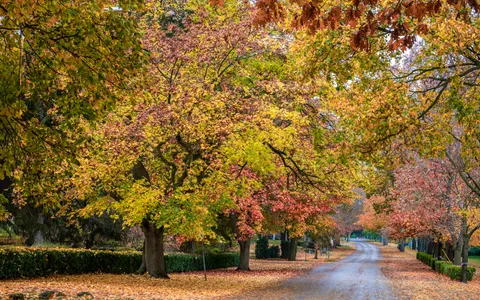 Autumn Park 4K Wallpaper · autumn · 3840×2400