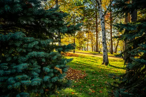 Autumn Park 4K Wallpaper · autumn · 3840×2560