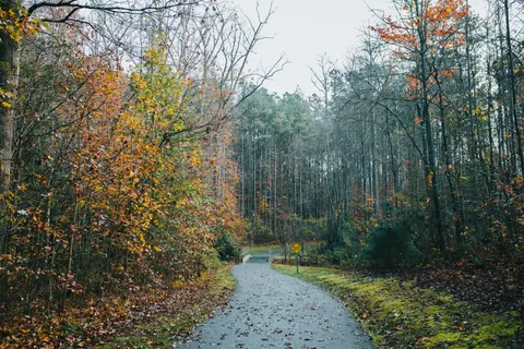 Autumn Park 4K Wallpaper · autumn · 3840×2560