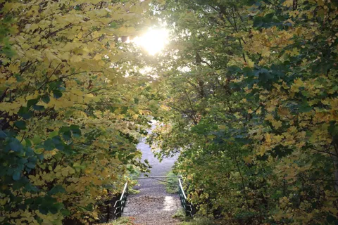Autumn Park 4K Wallpaper · autumn · 3840×2560