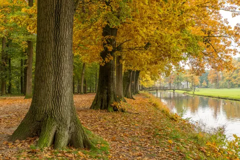 Autumn Park 4K Wallpaper · autumn · 3840×2560