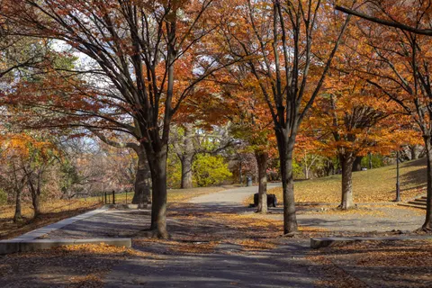 Autumn Park 4K Wallpaper · autumn · 3840×2560