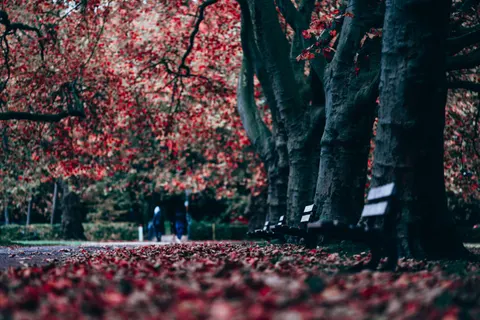 Autumn Park 4K Wallpaper · autumn · 3840×2560
