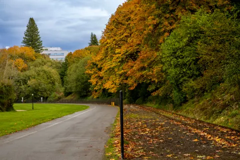 Autumn Park 4K Wallpaper · autumn · 3840×2560