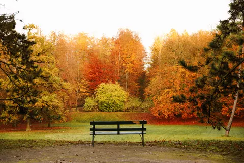 Autumn Park 4K Wallpaper · autumn · 3840×2560